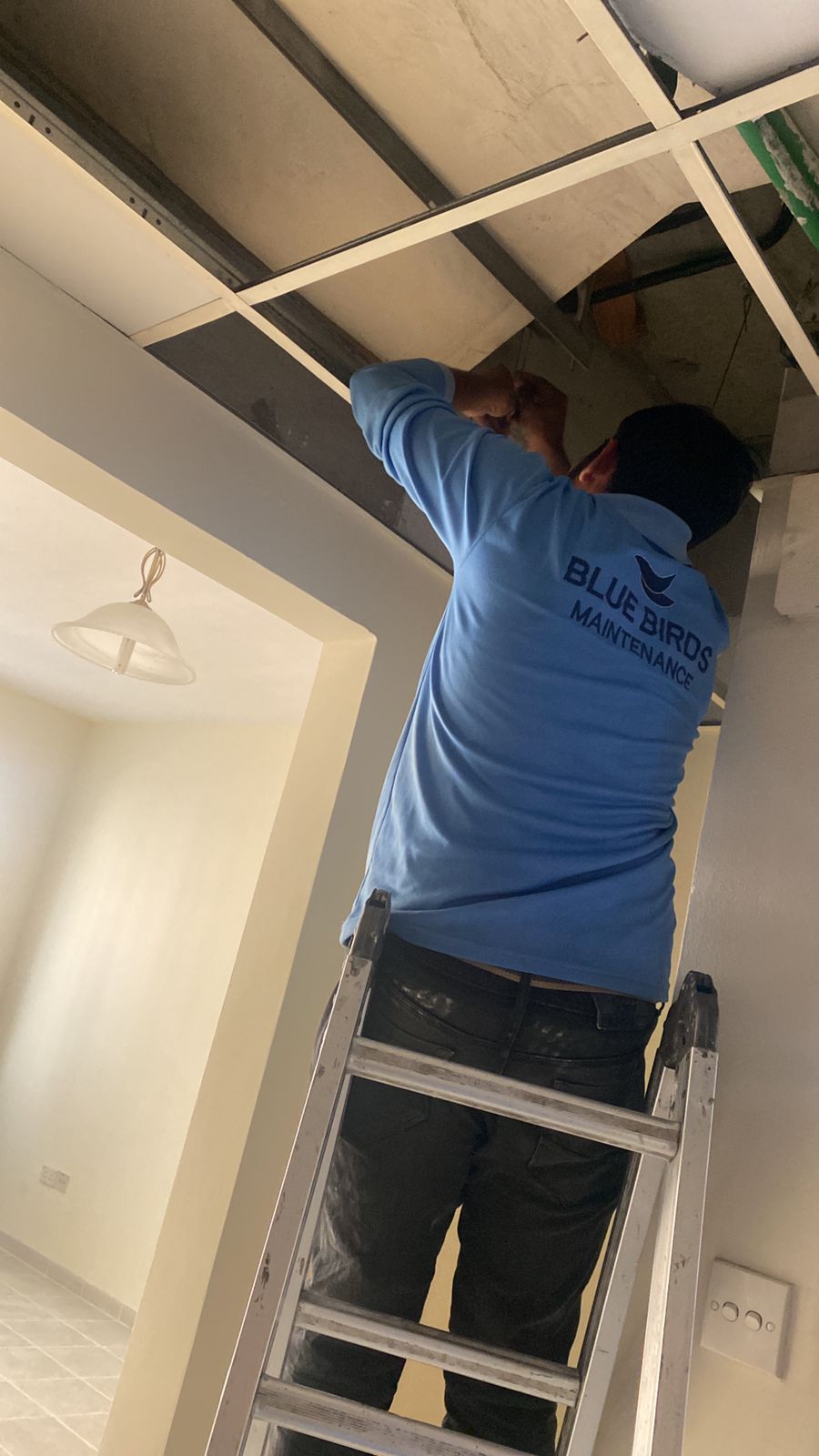 MEP Contracting project 2